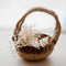 QTOYS - Coconut Basket